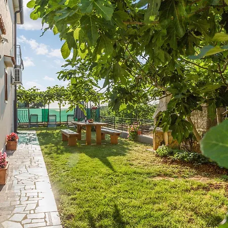 Gorgeous In With Kitchen Apartment Porec